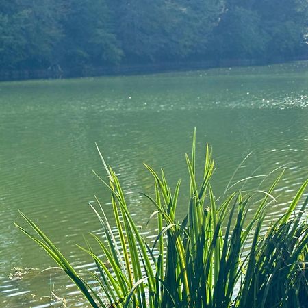 Lac De Lumiere. Relax With Rural Lakeside Living Herry Exteriör bild