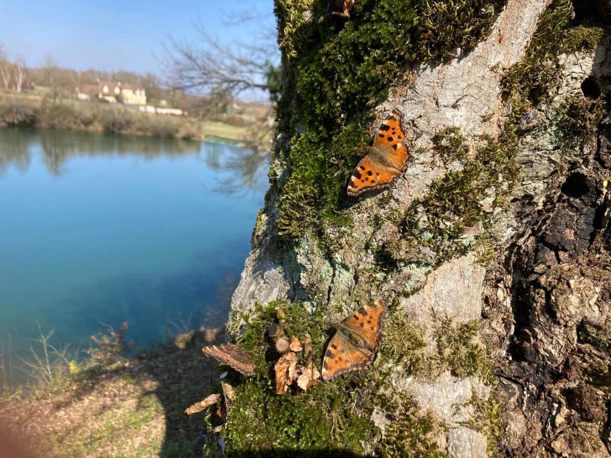 Lac De Lumiere. Relax With Rural Lakeside Living Herry Exteriör bild
